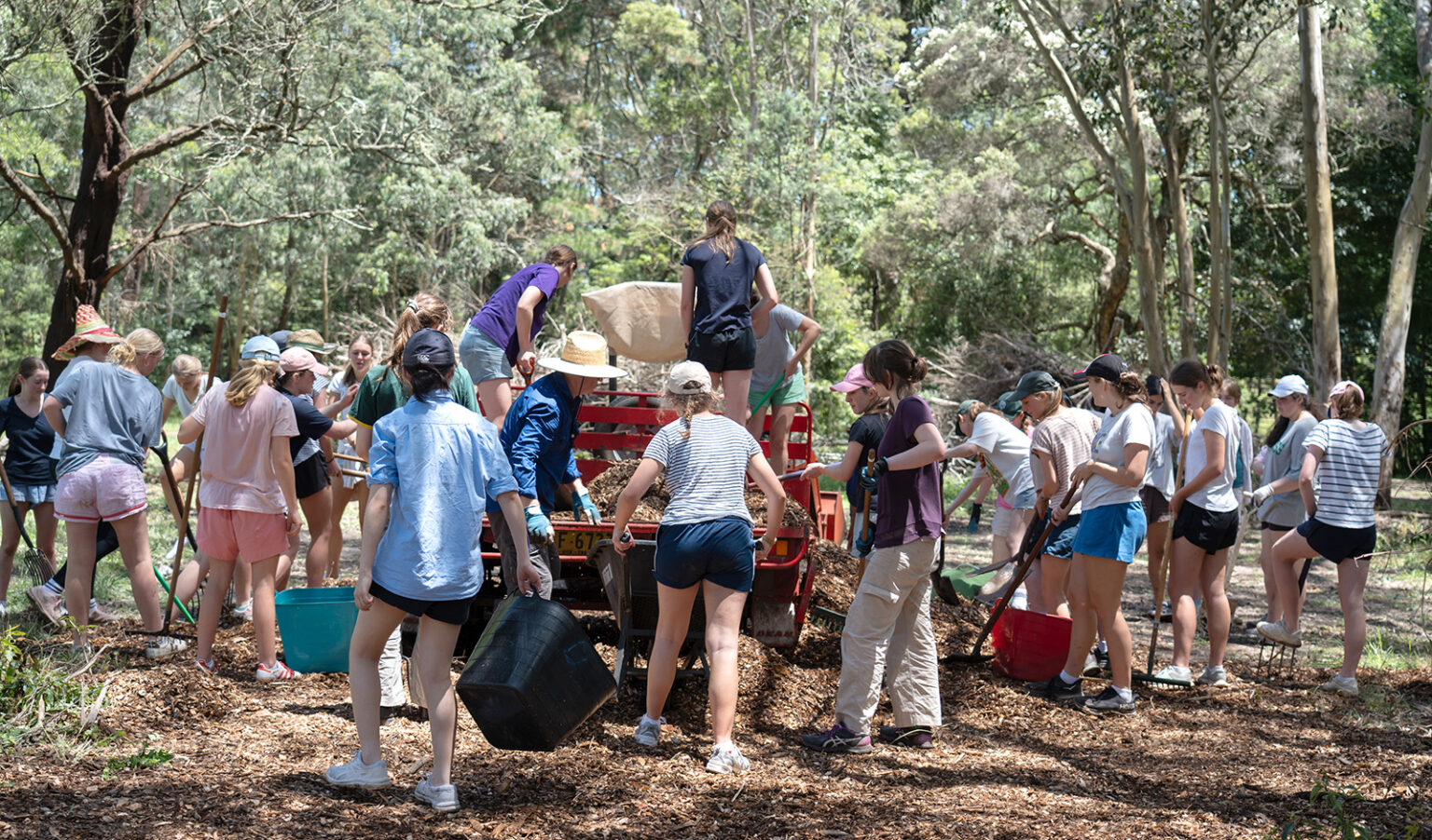 Jamieson Program: Shaping Character, Building Future Leaders