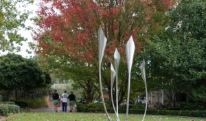 The Iris - Edition #10 Term 2 No 2 - May 2025